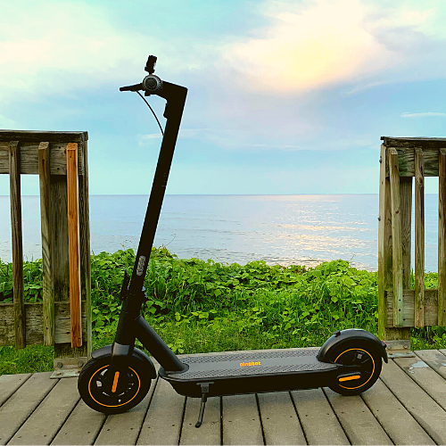 Tessa Electric Scooters in Chesapeake Beach Maryland